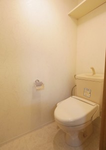 ハミルトン島のブルービーチ8