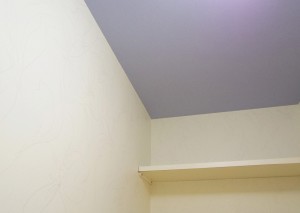 ハミルトン島のブルービーチ7