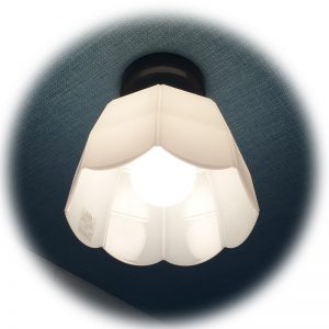 白-10