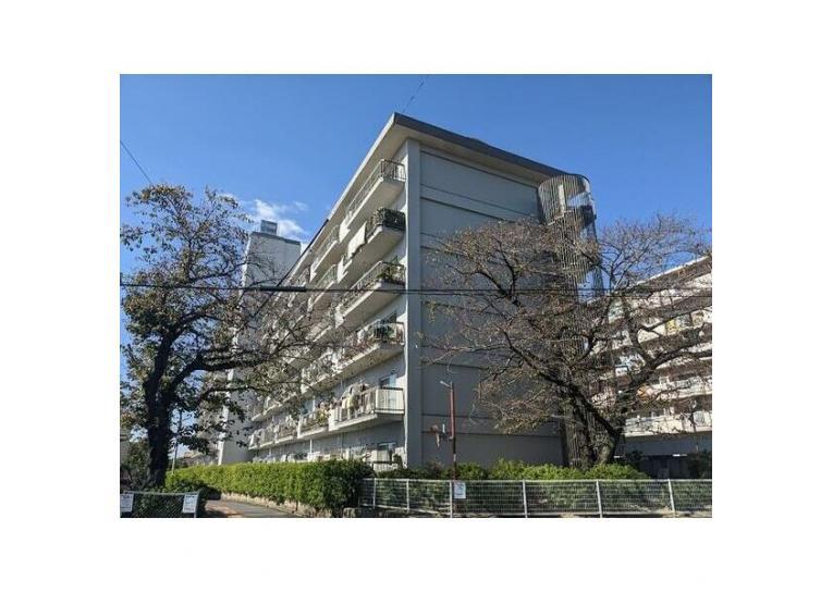 緑ヶ丘レックスマンションの外観