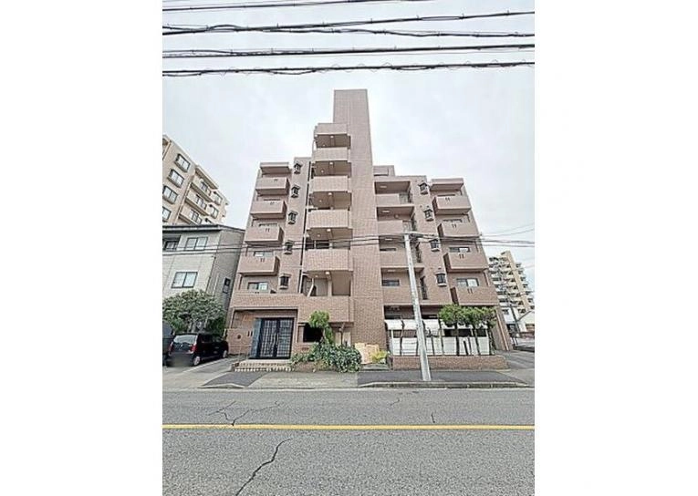 モネ水草の外観