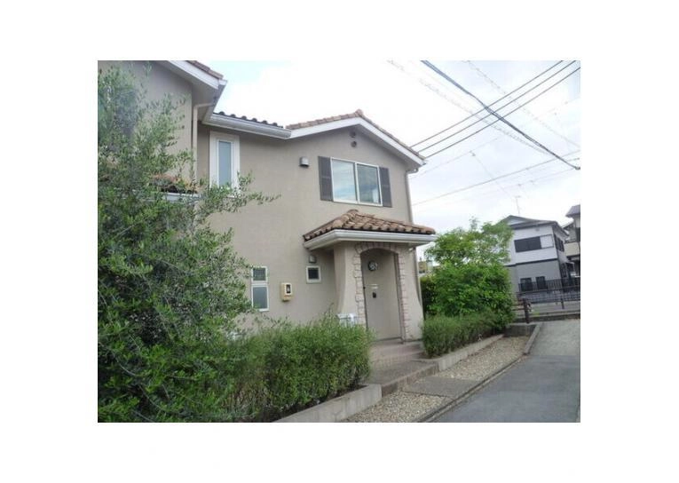 チックフリックの外観