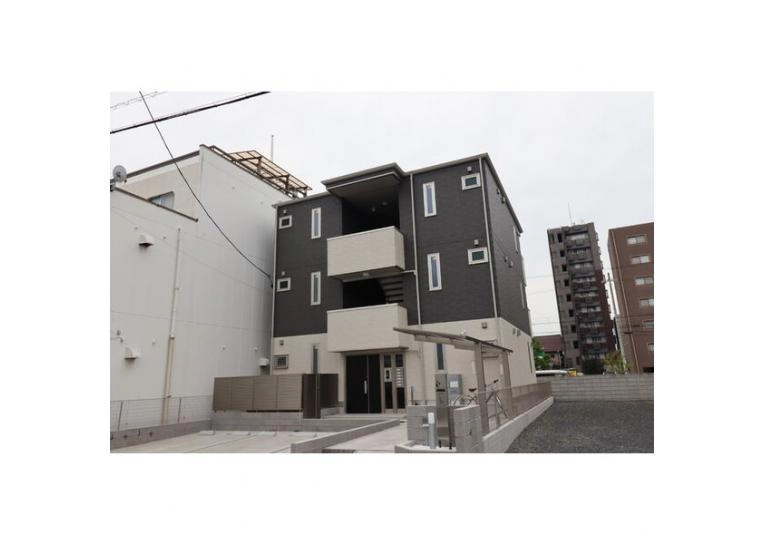 アンスリウムの外観