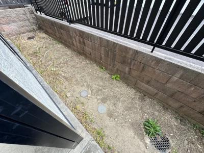 庭