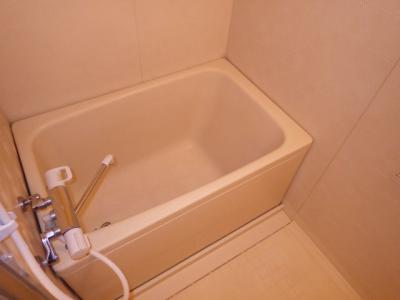 メゾン・ド・ラピュタ 2階 浴室