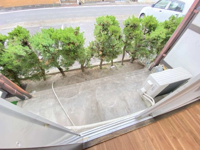庭