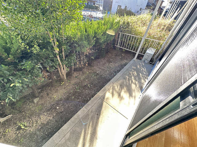 庭