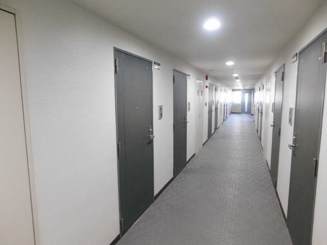 玄関ドア
