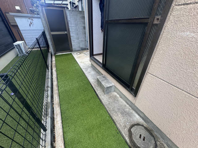 庭