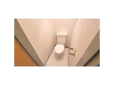 ロイヤルマンション横井 3階 WC