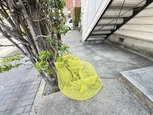 共用部分