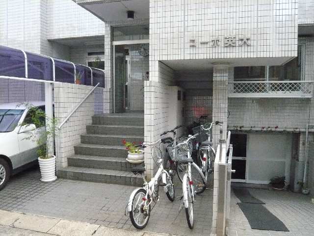 入口