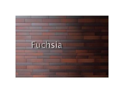 Fuchsia『フクシア』 2階 エントランス