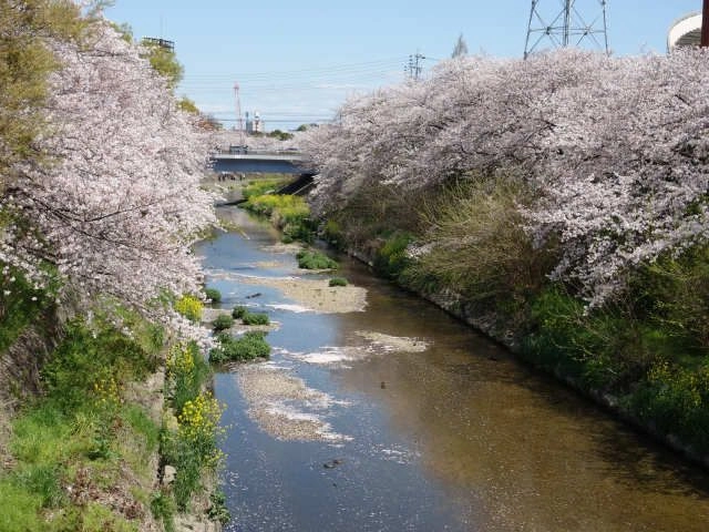 山崎川