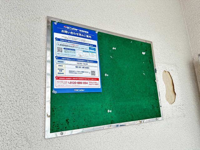 掲示板