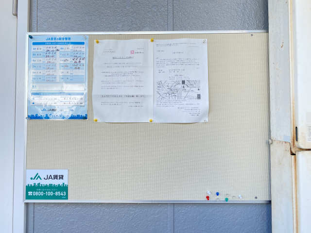 掲示板