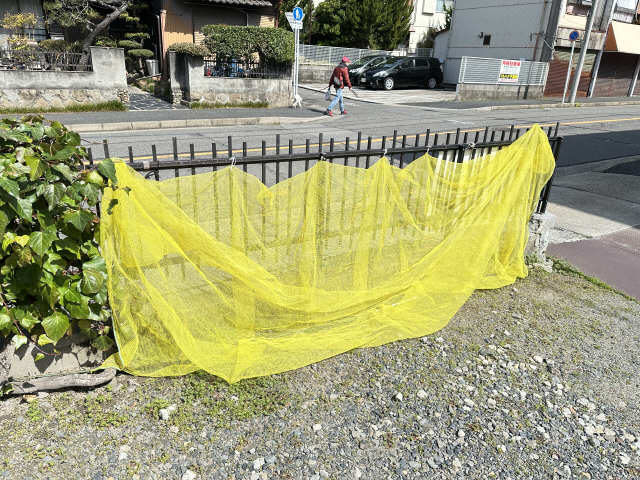 ゴミ捨て場