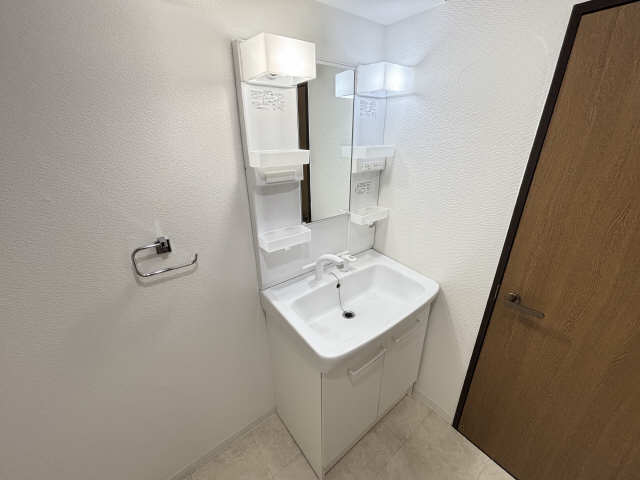 シャンプードレッサー