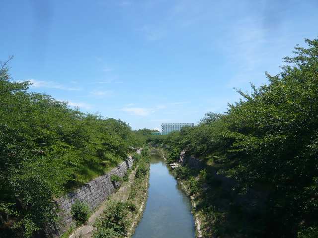 ハイツ山崎 3階 山崎川