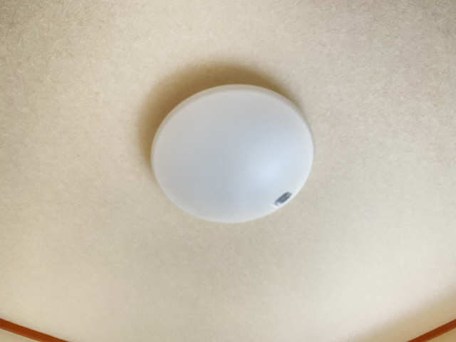 照明