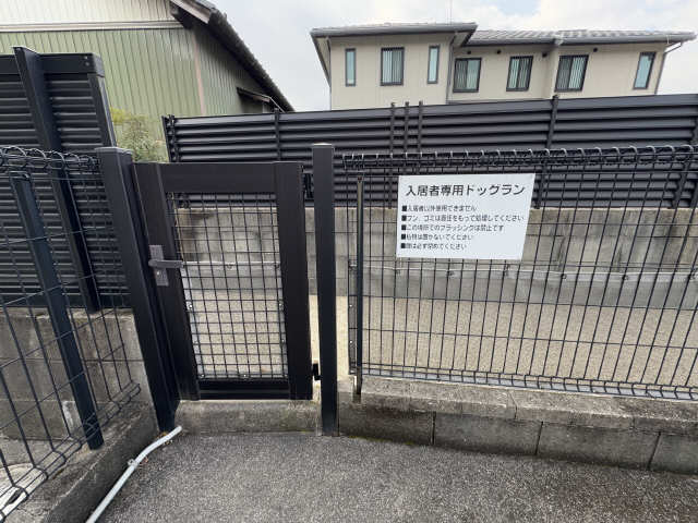 ドックラン