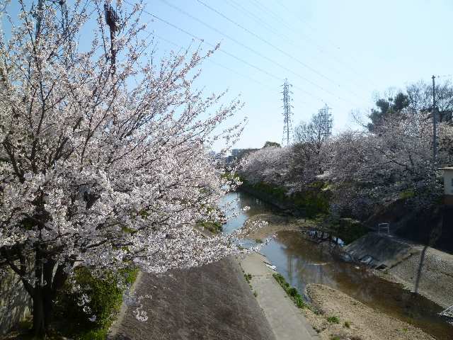 山崎川