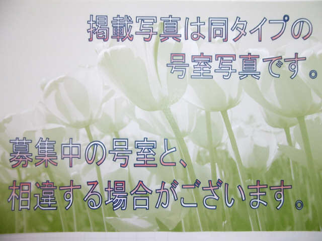 案内文