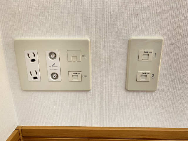 電話線・LAN