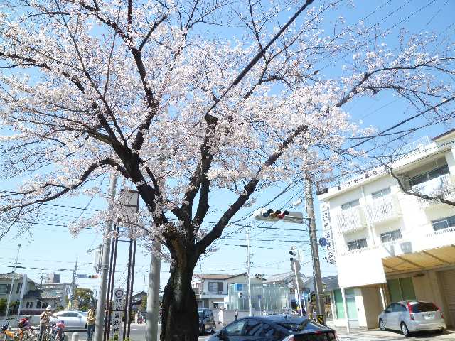 瑞穂運動場東駅前