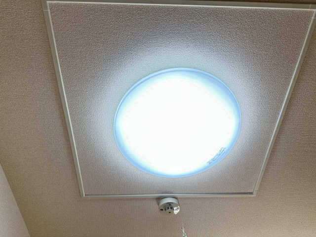 照明
