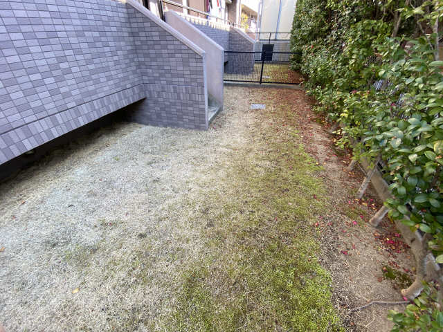 庭