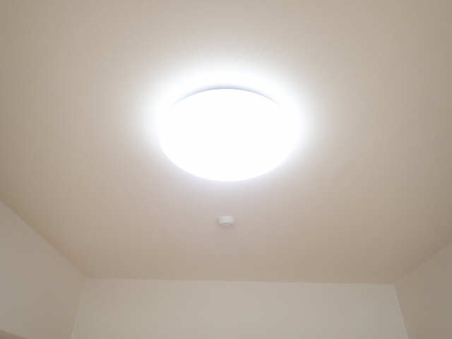 LED照明