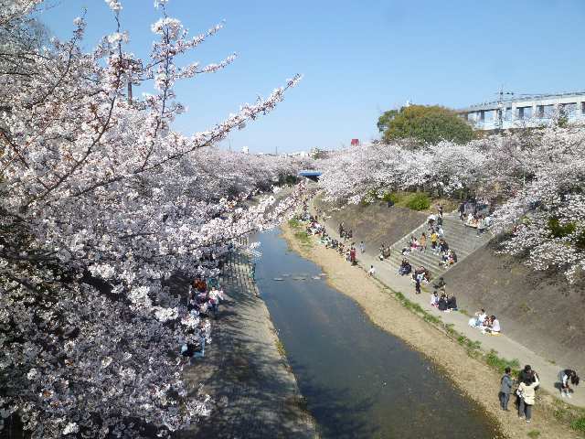 山崎川