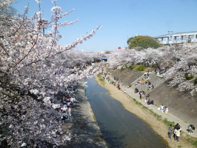 山崎川