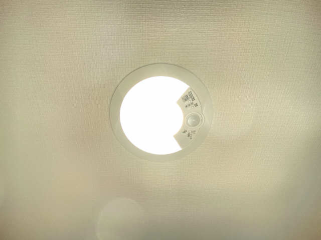 玄関人感センサーライト