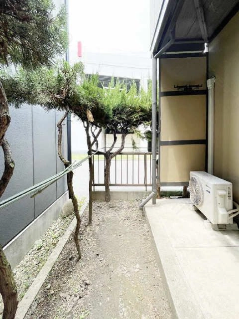 庭
