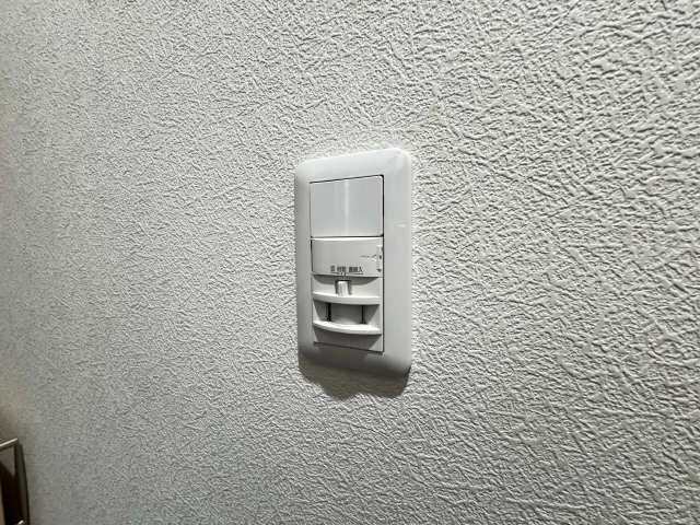 玄関人感センサーライト