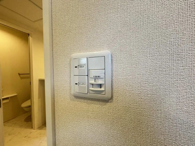 玄関人感センサーライト