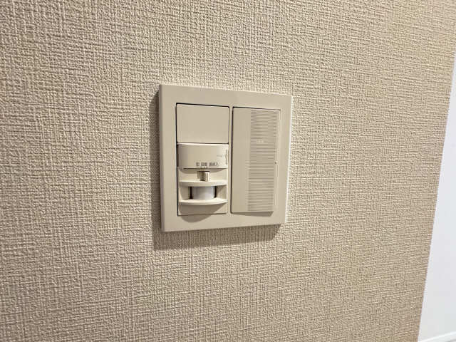 玄関人感センサーライト
