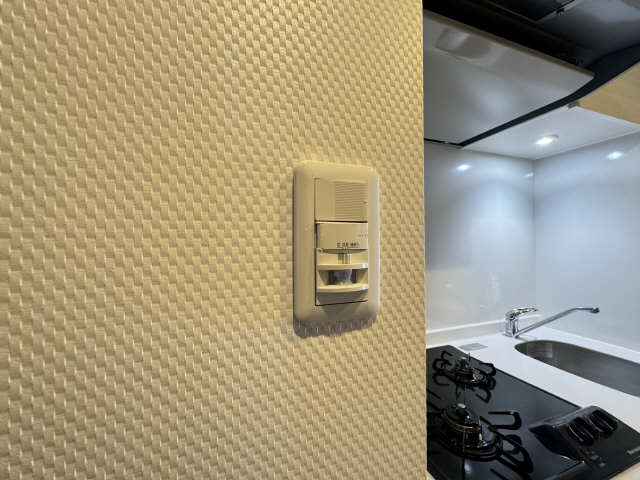 玄関人感センサーライト