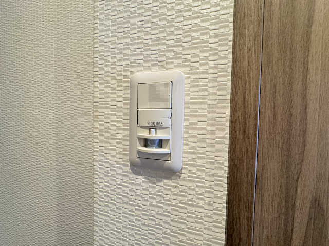 玄関人感センサーライト