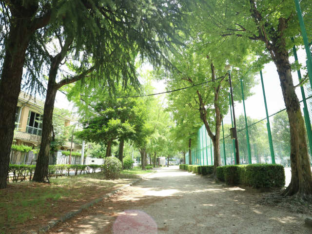 公園