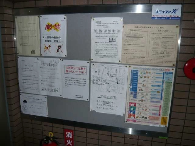 掲示板