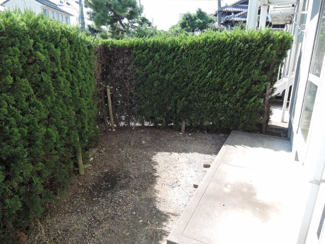 庭