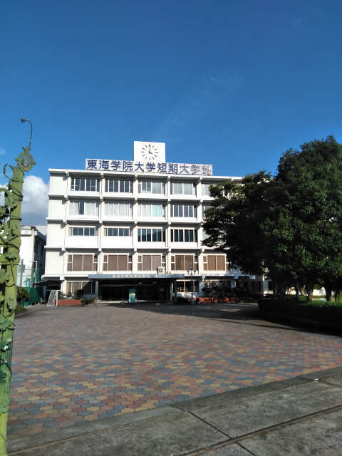 大学