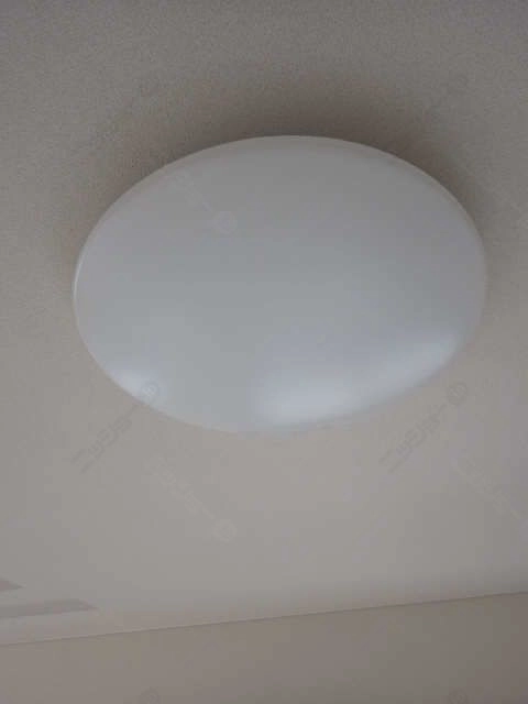 照明