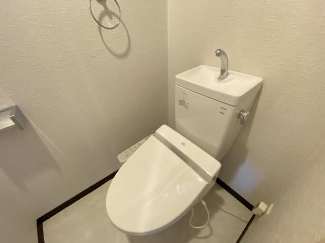 Ｃａｓｔｌｅ　Ｈｉｌｌｓ柳ヶ瀬 10階 WC