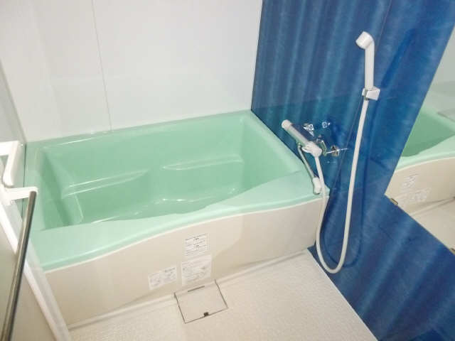 Ｃａｓｔｌｅ　Ｈｉｌｌｓ柳ヶ瀬 10階 浴室
