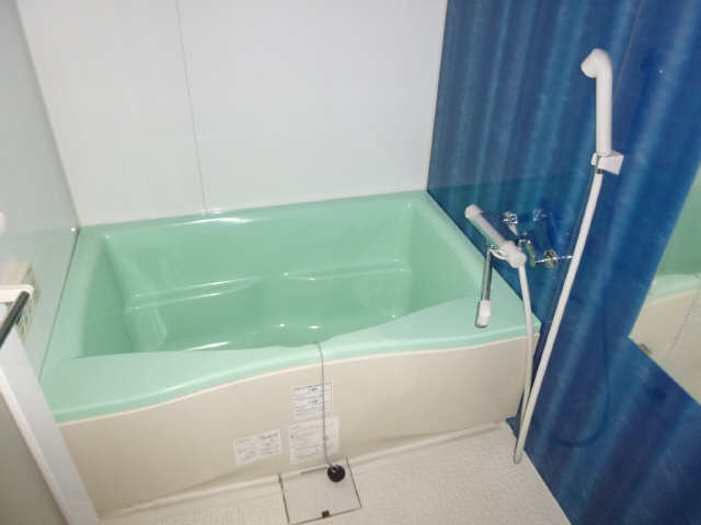 Ｃａｓｔｌｅ　Ｈｉｌｌｓ柳ヶ瀬 10階 浴室
