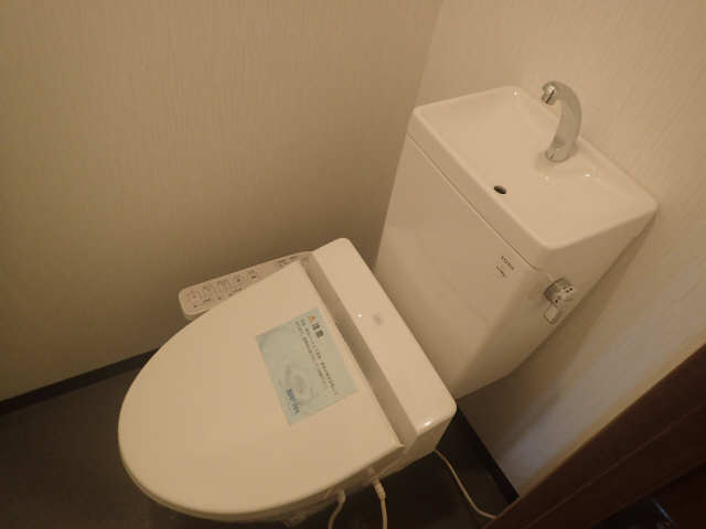 Ｃａｓｔｌｅ　Ｈｉｌｌｓ柳ヶ瀬 11階 WC